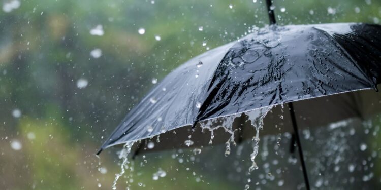 तीन दिनको मौसम : हल्कादेखि मध्यम वर्षाको सम्भावना