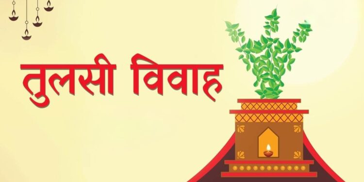 आज हरिबोधिनी एकादशी, तुलसीको विवाह गरिँदै