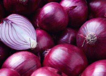 प्याज निर्यातमा भारतको कडाई