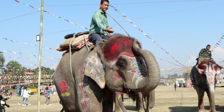 सेल्फीकलीले जितिन् हात्ती सुन्दरीको उपाधि