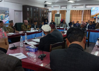 एनसेलबारे ४८ घण्टाभित्र धारणा सार्वजनिक गर्न सरकारलाई निर्देशन