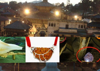 पशुपतिनाथमा नागमणि, एकमुखे रुद्राक्ष र दाहिने शङ्ख प्रदर्शन