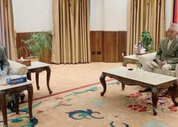 उपराष्ट्रपतिले भेटे राष्ट्रपति