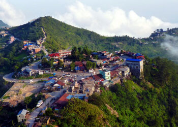 मनै लोभ्याउने सुन्दर ‘भेडेटार’