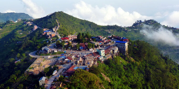 मनै लोभ्याउने सुन्दर ‘भेडेटार’