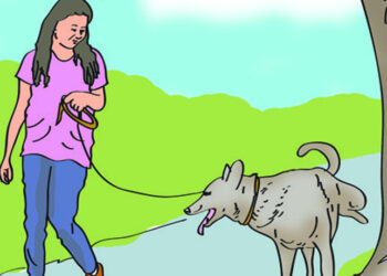 बाटोमा कुकुरलाई शौच गराउनुहुन्छ? महानगरको कारबाहीमा परिएला है!