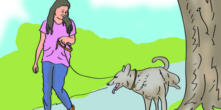 बाटोमा कुकुरलाई शौच गराउनुहुन्छ? महानगरको कारबाहीमा परिएला है!